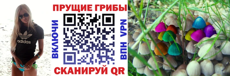 Псилоцибиновые грибы ЛСД купить цена Остров